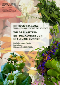 Wildpflanzen-Entdeckungstour mit Aline Burren _ 24.08.2022